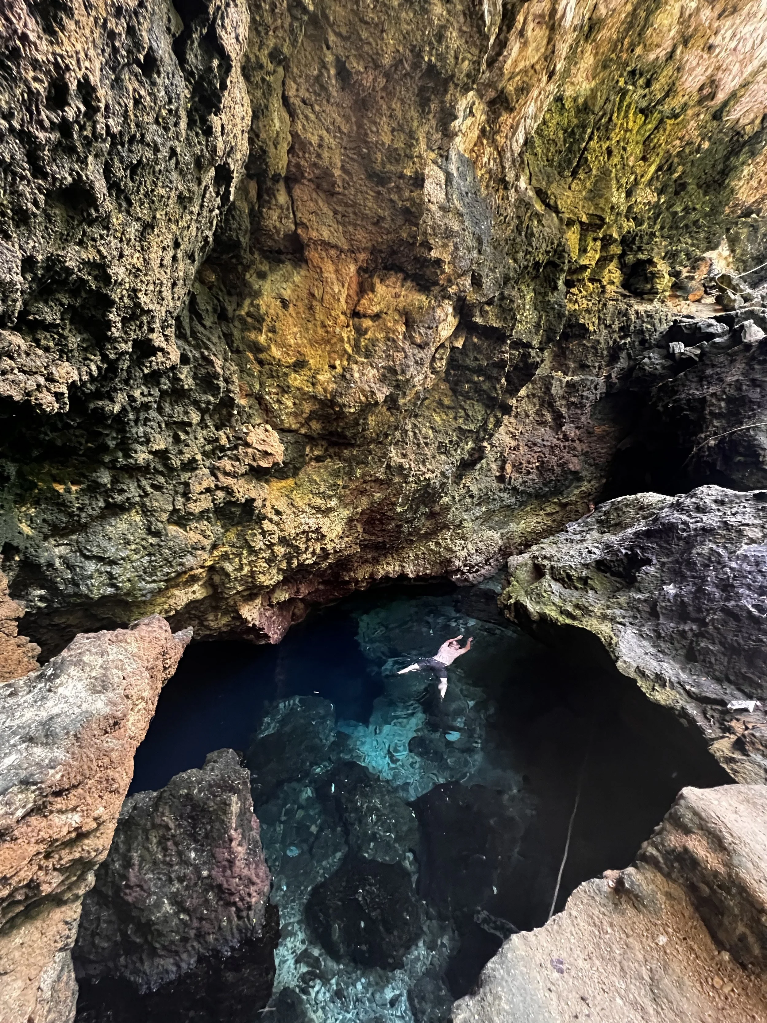 Cenote Explorer - Half day — Longitude Tours
